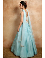Blue Lehenga With Embroidered Blouse